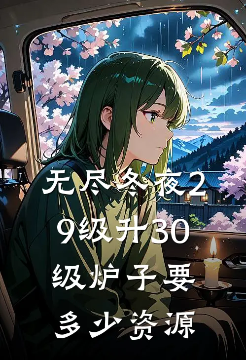 无尽冬夜29级升30级炉子要多少资源