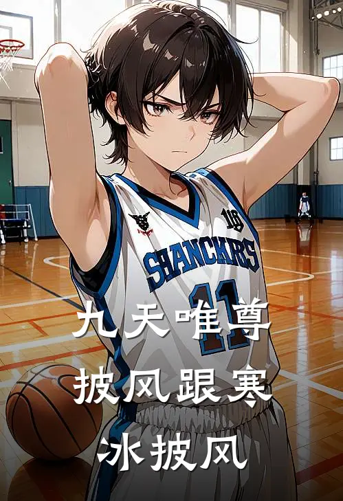 九天唯尊披风跟寒冰披风