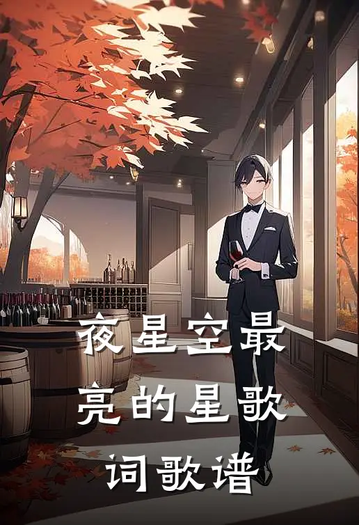 夜星空最亮的星歌词歌谱