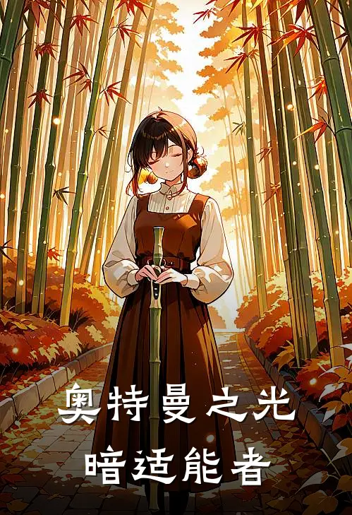 奥特曼之光暗适能者